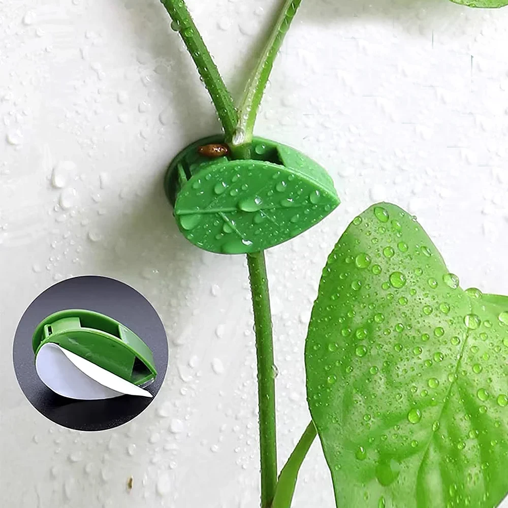 Onzichtbare plantenklimbeugels - Woodworking Glue recensie en prijs