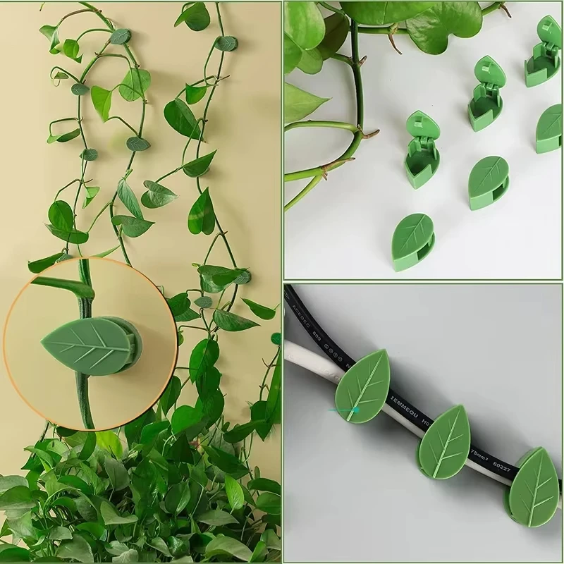 Onzichtbare plantenklimbeugels - Woodworking Glue recensie en prijs